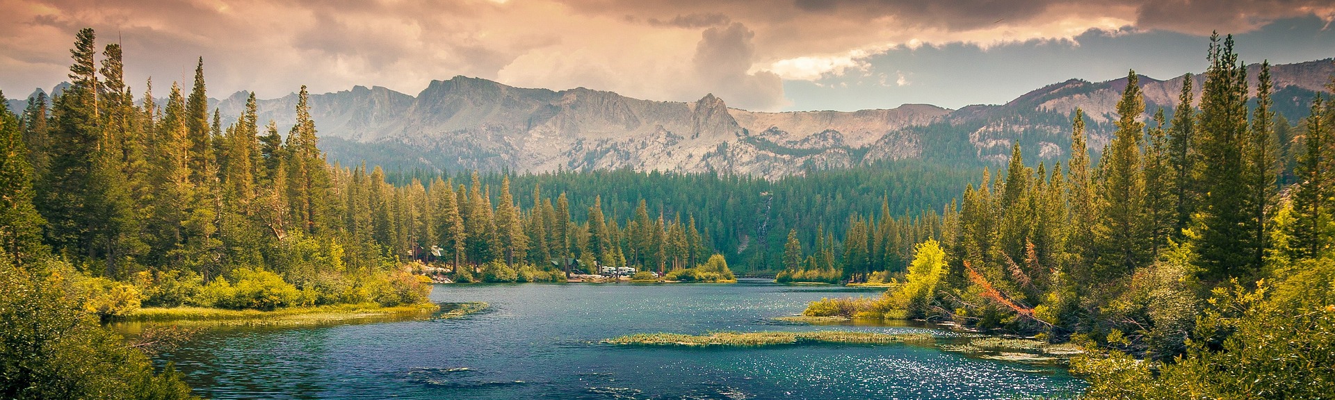 Gabrielle A Christopher